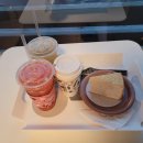 곰순이PC 이미지