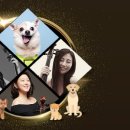와카롱 | 와카롱, 브루하하 애견카페, '유기견과 함께하는 가을 음악회'