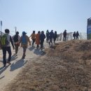 대추리길 이미지