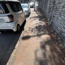 라이꺼마라탕 | 등산, 다꾸, 박지훈 등등… (260207-260209)