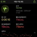 티그레