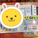 인태농산물 | 서귀포 매일 올레시장 황금향 맛있는 집 (ft. 인태농산물)