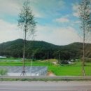 수성최씨 시조묘 이미지