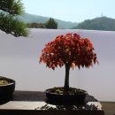 공산중학교 이미지