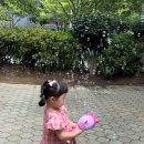 다소잉 이미지