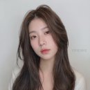 비비엔느 이미지