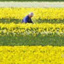 황금물결 농장 이미지