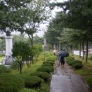삼남약국 이미지