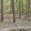 ㈜대화로점 현대자동차 이미지