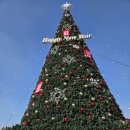 동탄순환대로3길L | 동탄 카페 추천 통창뷰 자연가득 이그드라실 내돈내산 후기