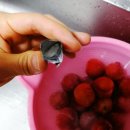 주식회사 자연그램 | 자연그램 칼슘파우더로 과일 세척 후기!