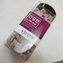 건강한 펫 이미지