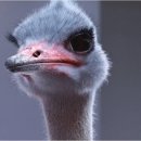 범우농장 이미지