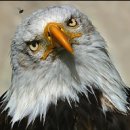 일산파크골프클럽 이미지