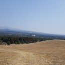 위드커피 이미지