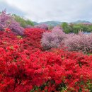 완산공원(정상) 이미지