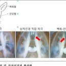 백당한의원 네이버블로그