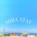 월령소라스테이 이미지