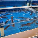 대일할인마트 이미지