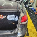 차프로세차 이미지