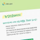 국제커리어센터 이미지