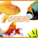 금붕어 이미지