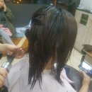 댕기아리아