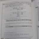 모터사이렌 질문이요 이미지