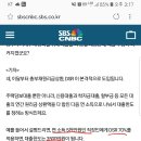 DSR 제대로 해석하는거 맞나요? 이미지