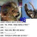 토끼와거북이 이미지