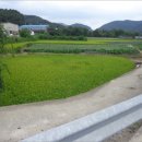 내서읍519 이미지