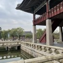 서울 궁투어(경복궁,경회루,창경궁 대온실,덕수궁)에어비엔비 기화설