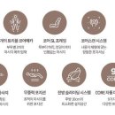 001-파주-001 이미지