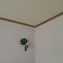 강촌펜션 이미지