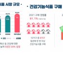 보라인셀덤 이미지