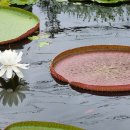 행운쉼터 이미지