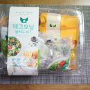 굿모닝피그