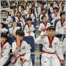 즐거운 태권도 아카데미 | 부산품새 태권도로 성장하는 즐거운 순간들