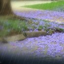 (주)오늘의선물 이미지