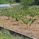 포남공인중개사사무소 이미지