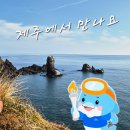 서귀포올림픽기념국민생활관 체육관 | 2026 제주 전국체육대회 서귀포 경기장 상황 제46회 전국장애인체육대회 제107회 전국체육대회 개...