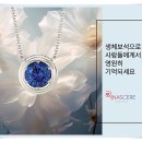 리나세레 주식회사