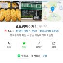 저도 제가 제주도 한달 살이를 하게 될 줄은 몰랐어요.