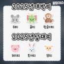 (주)모두모아 | 막학기 일상 - 미래에 대한 걱정과 불안 모두 모아 (+쿠팡 알바후기)