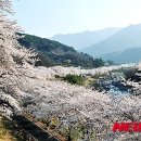하동 이미지