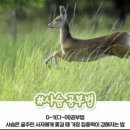 제빵교실 | 26년 제과기능사 제빵기능사 필기시험 합격 후기 공부팁