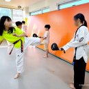 최강태권도 이미지