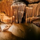 울진해물탕 이미지