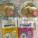 멍이네 이야기 이미지