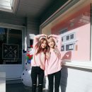 햅 Daum카페
